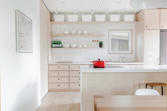 Designing a Modular Kitchen with Scandinavian Minimalism