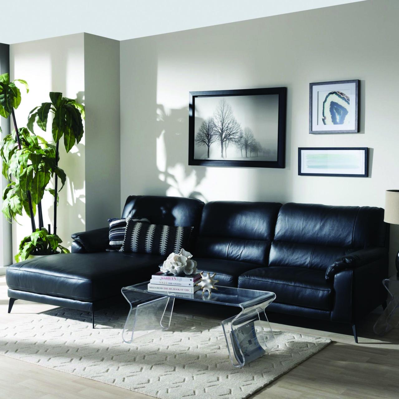 Living Room With Black Sofa