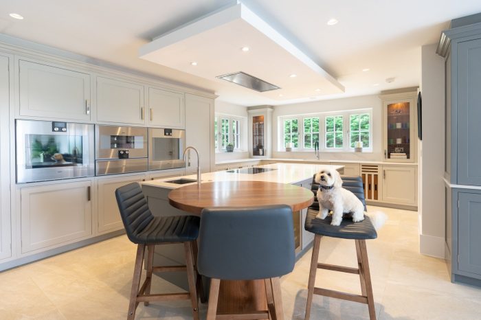 Tips for Designing a Modular Kitchen That's Pet-Friendly