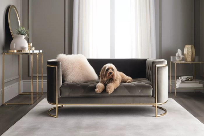 Pet-Friendly Home Design: Stylish Spaces for Furry Friends