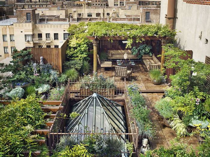 Urban Jungle: Incorporating Plants in City Living Spaces
